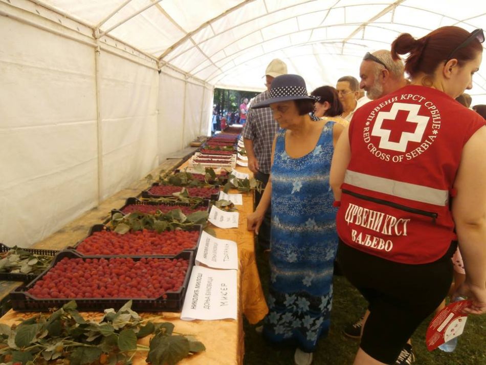 25.06.2017. – Bazar zdravlja u Brankovini – 