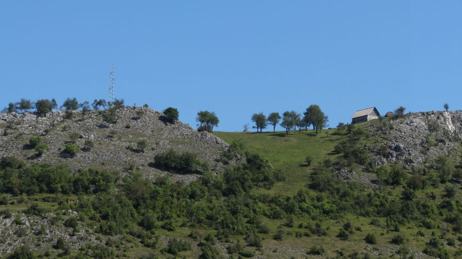 Korisn. nar.kuhinje - jaja i konzerve za Us